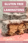 Gluten Free Lamingtons
