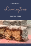 Gluten Free Lamingtons
