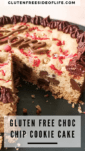 Gluten Free Chocolate Chip Cookie Cake