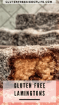 Gluten Free Lamingtons