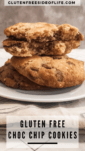Gluten Free Chocolate Chip Cookies